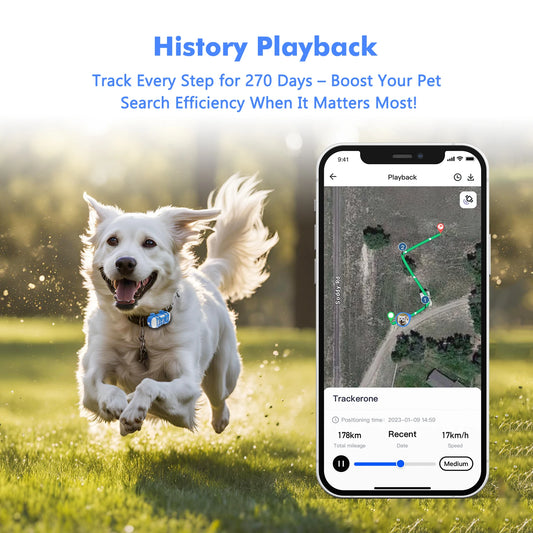 ‌4G Dog Cat GPS Tracker for Pets - Waterproof Smart Locator